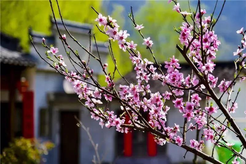 BWIN·必赢(中国)唯一官方网站