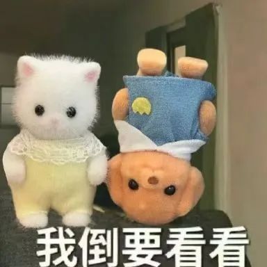 BWIN·必赢(中国)唯一官方网站