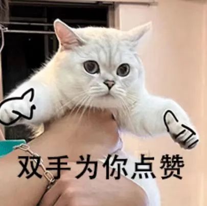 BWIN·必赢(中国)唯一官方网站