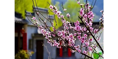 阳春三月，，，，，，，必赢国际精机一大波展会即未来袭，，，，，，，您准备好了吗？？？？？